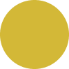 bullet icon