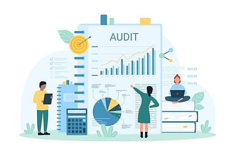 How Do I Audit a Dataset?