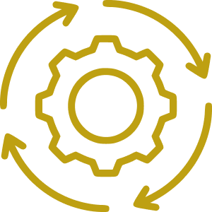 cycle