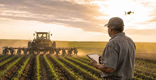 The Vanishing Farmer: What 200 Years of Agricultural Labor Can Teach Us About AI